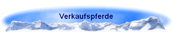Verkaufspferde